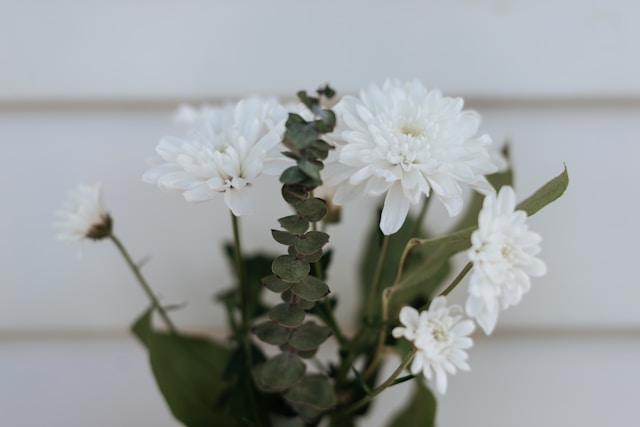 Budget-Friendly Gift and Flower Ideas That Impress Every Time
