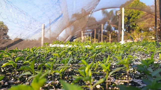 Sustainable Living on a Budget: Save Money and the Planet